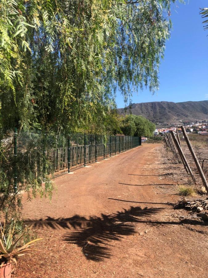 Casita Entre Vinedos, Experiencia Rural, Ideal Ninos. Tegueste Eksteriør bilde