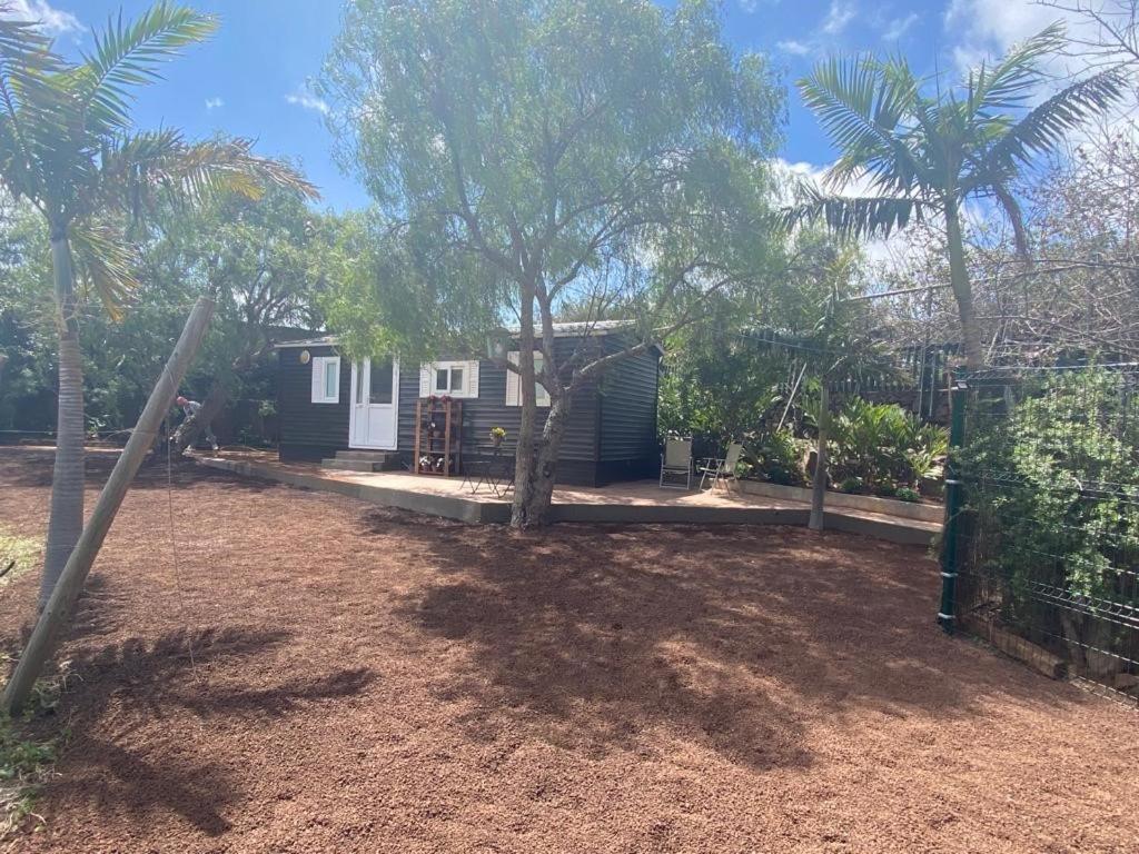 Casita Entre Vinedos, Experiencia Rural, Ideal Ninos. Tegueste Eksteriør bilde