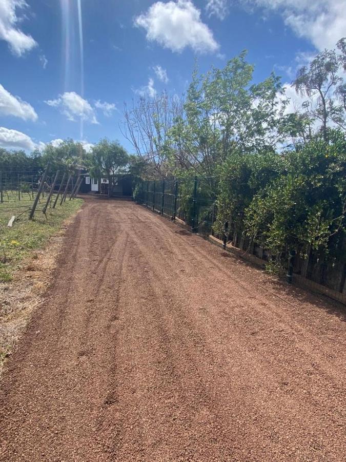 Casita Entre Vinedos, Experiencia Rural, Ideal Ninos. Tegueste Eksteriør bilde