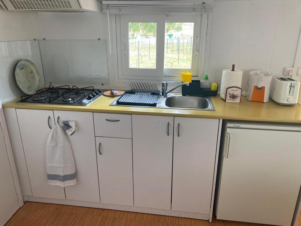 Casita Entre Vinedos, Experiencia Rural, Ideal Ninos. Tegueste Eksteriør bilde