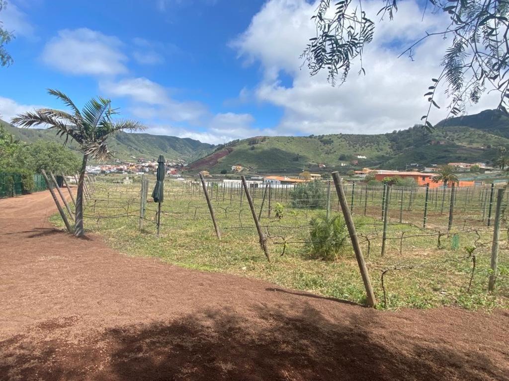 Casita Entre Vinedos, Experiencia Rural, Ideal Ninos. Tegueste Eksteriør bilde