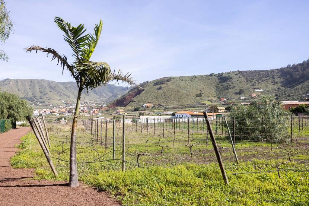 Casita Entre Vinedos, Experiencia Rural, Ideal Ninos. Tegueste Eksteriør bilde