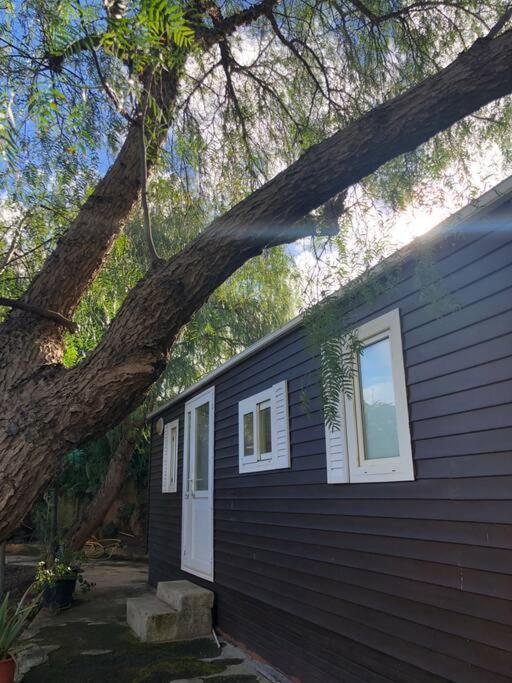 Casita Entre Vinedos, Experiencia Rural, Ideal Ninos. Tegueste Eksteriør bilde
