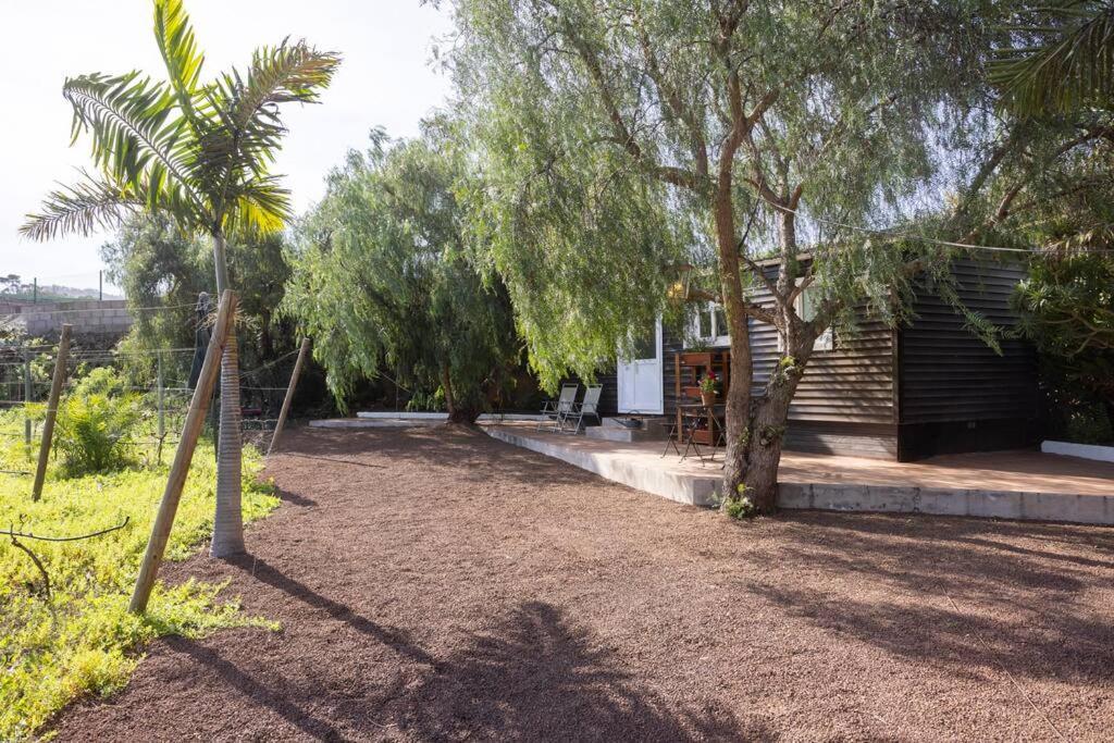 Casita Entre Vinedos, Experiencia Rural, Ideal Ninos. Tegueste Eksteriør bilde