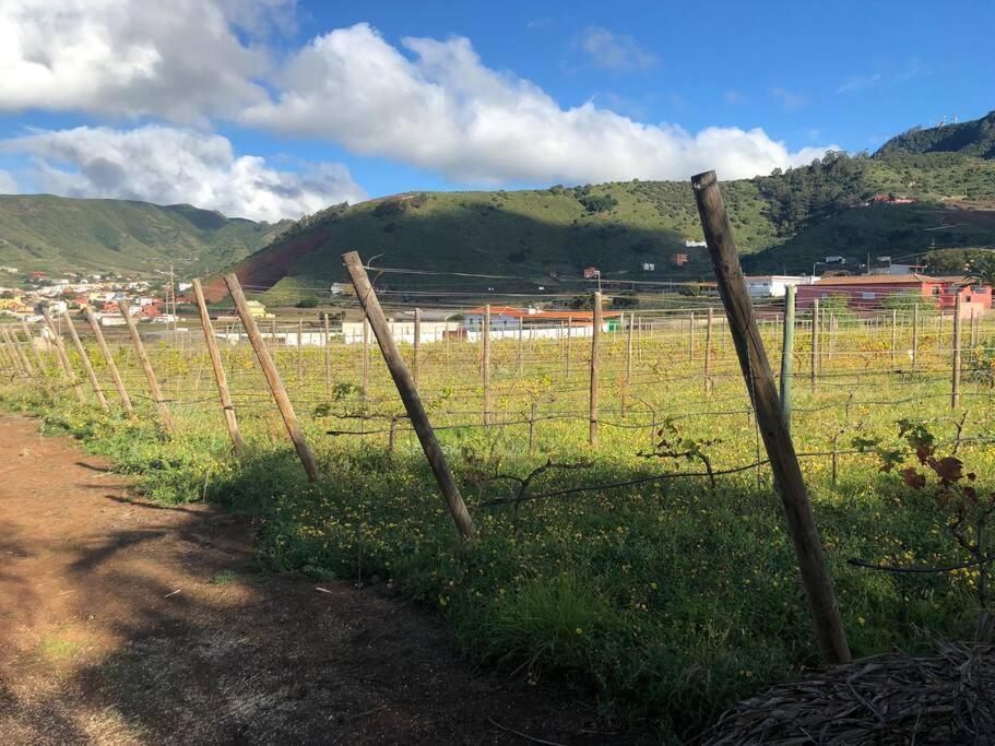Casita Entre Vinedos, Experiencia Rural, Ideal Ninos. Tegueste Eksteriør bilde